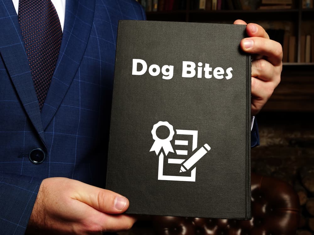 Legal Concept of Dog Bites: Phrase on the sheet with juridical background.