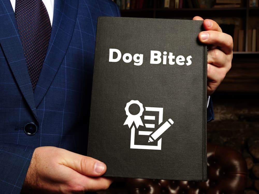 Legal Concept of Dog Bites: Phrase on the sheet with juridical background.






