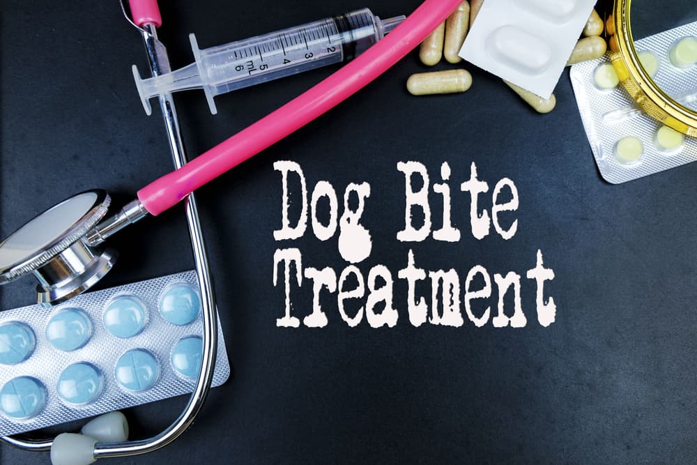 Dog Bite Treatment: A medical perspective with concepts and equipment on a blackboard background.